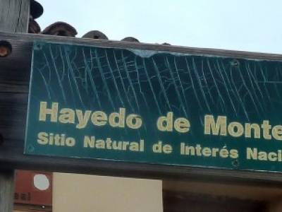 Hayedo Montejo; Reserva Biosfera Sierra Rincón; senderismo por madrid